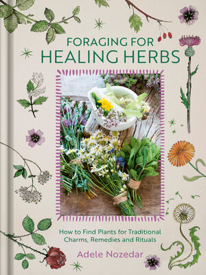 cover image of Foraging for Healing Herbs